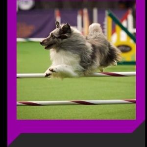 Meet your Posher, Posh